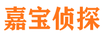 港南市私家侦探公司